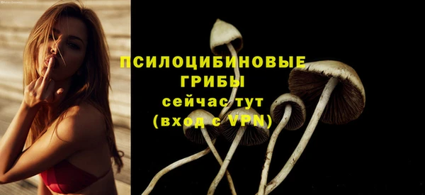 ALPHA PVP Аркадак