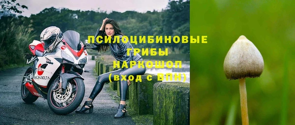 круглые Арсеньев