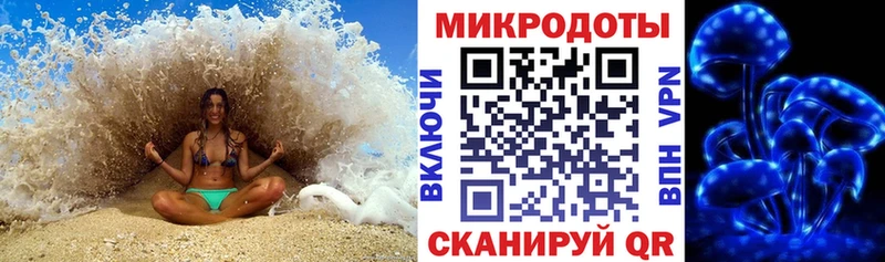 Галлюциногенные грибы Psilocybine cubensis  ОМГ ОМГ ССЫЛКА  Ртищево  где найти наркотики 